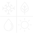 Group 19784.png