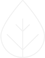 Group 2348.png