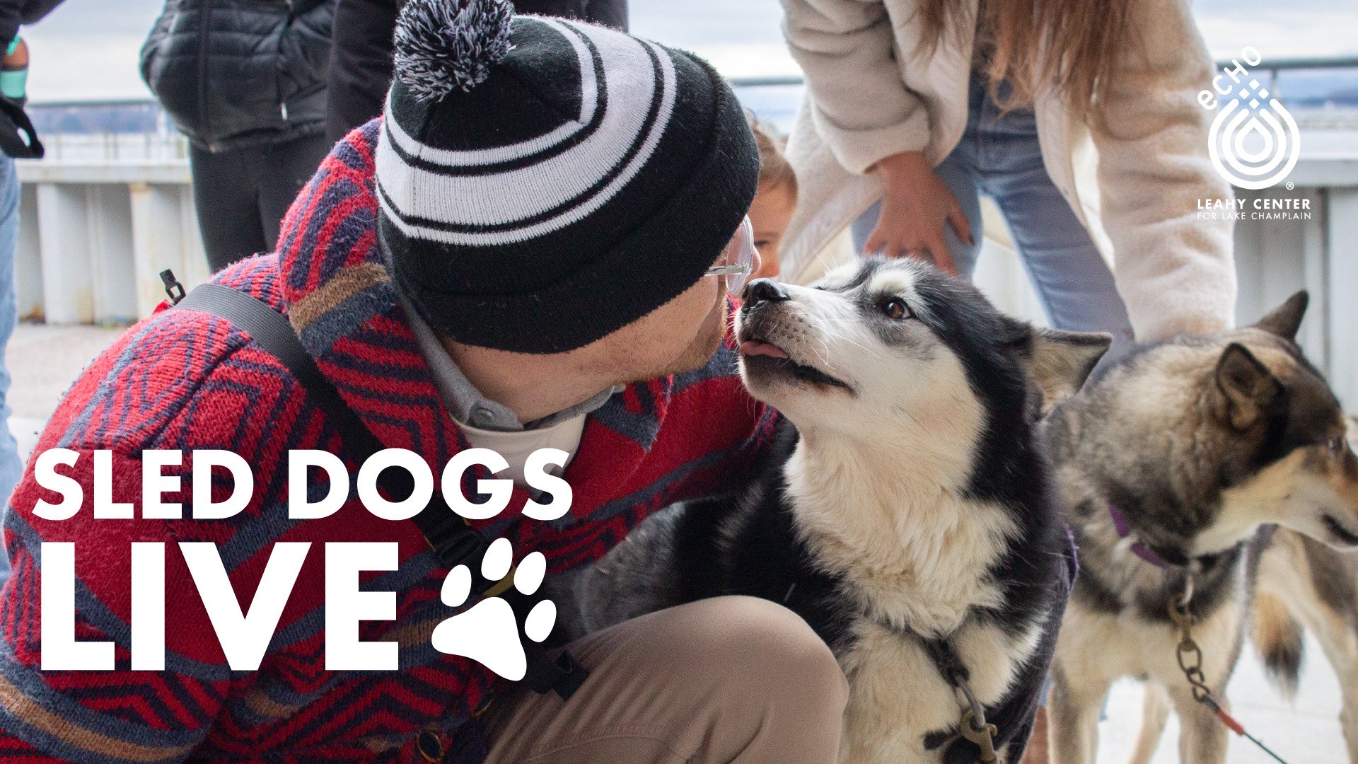Sled Dogs at ECHO