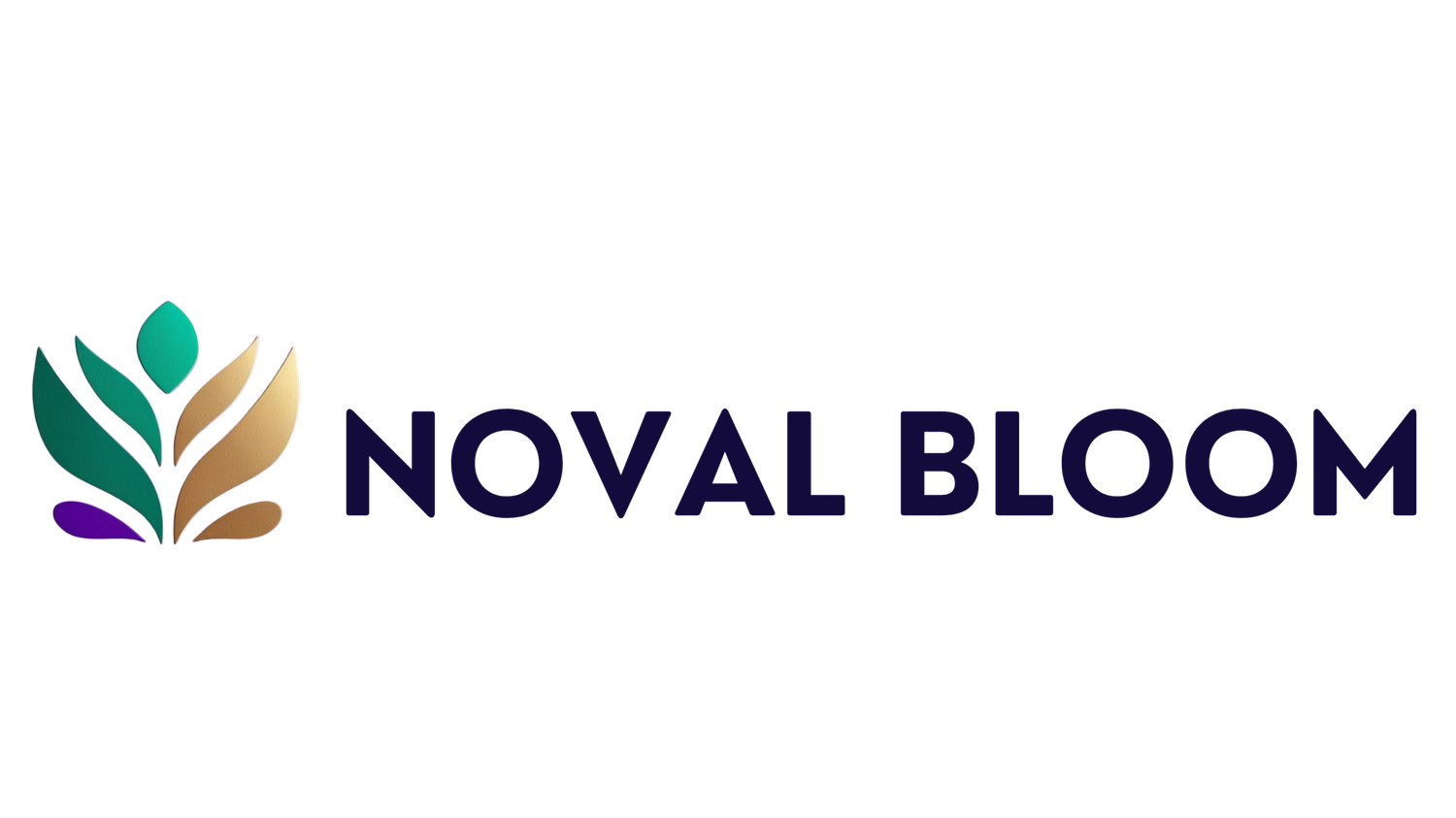 Noval Bloom Inc.