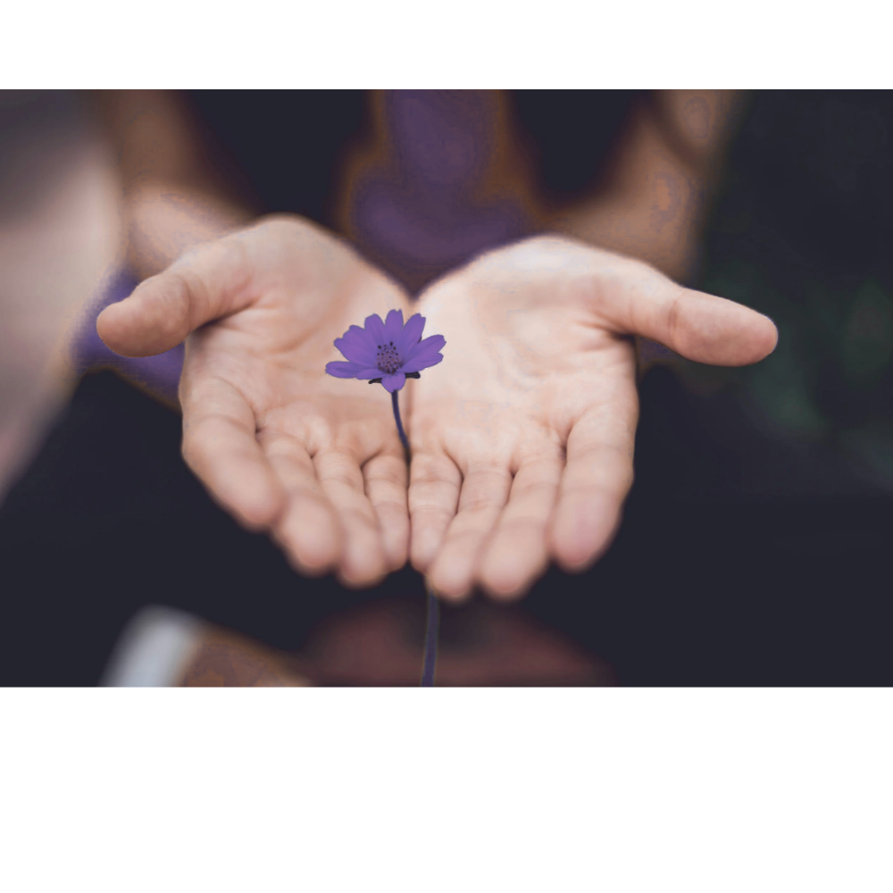 Purple flowers bloom in the middle of supportive hands.