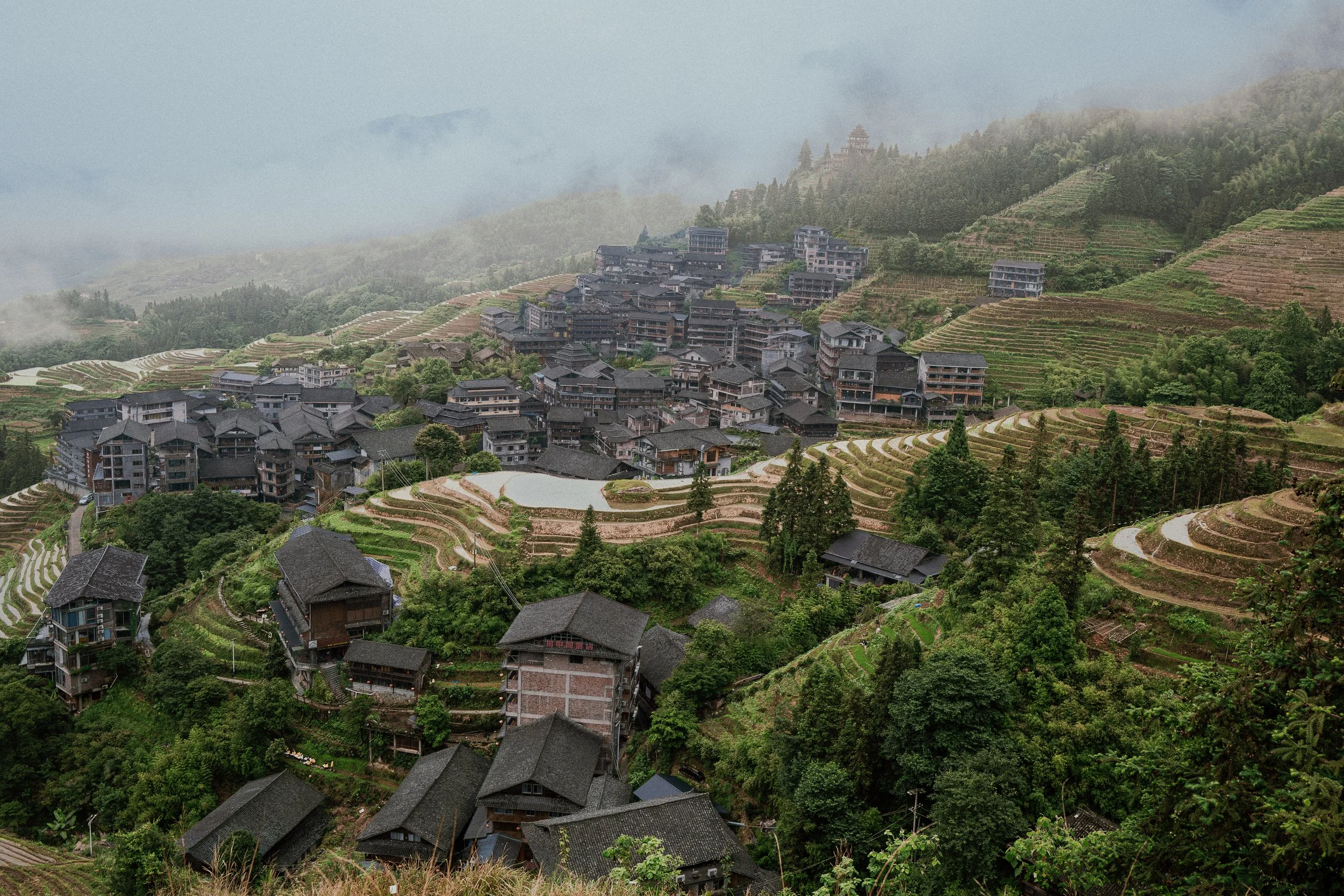 L1032774-2.jpg