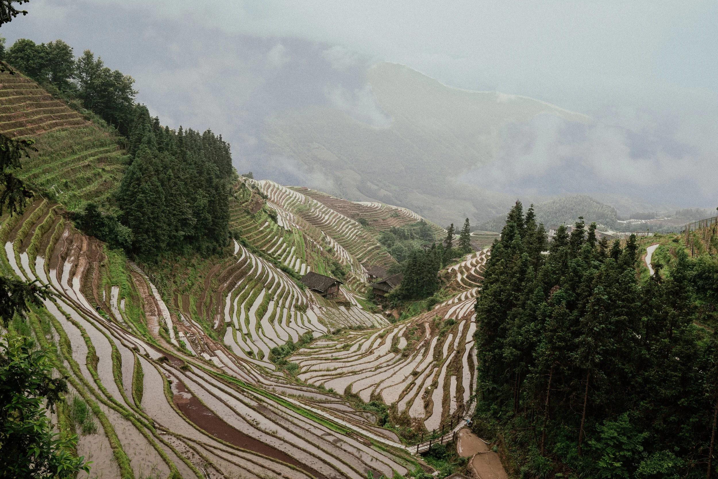 L1032784.jpg