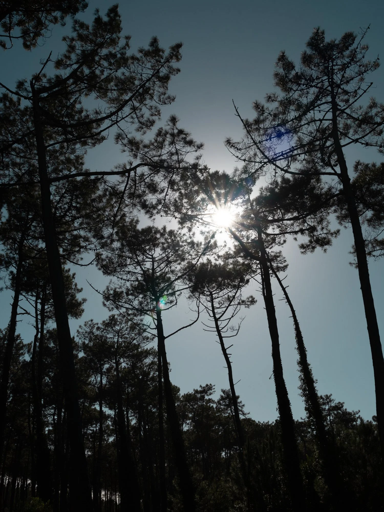 en choeur-nabdelwahed.jpg