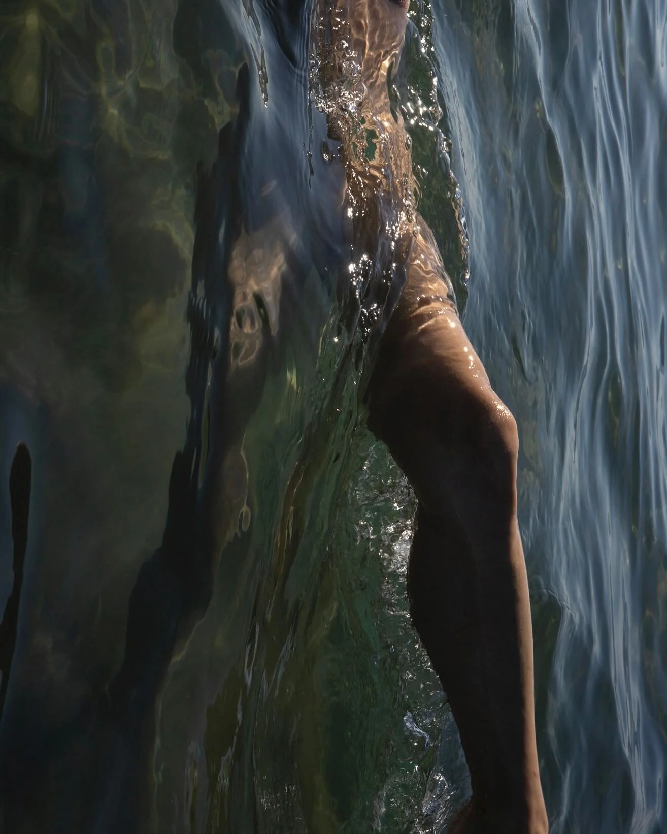 A fleur de peau, &agrave; fleur d&rsquo;eau ✨

2022, 2024