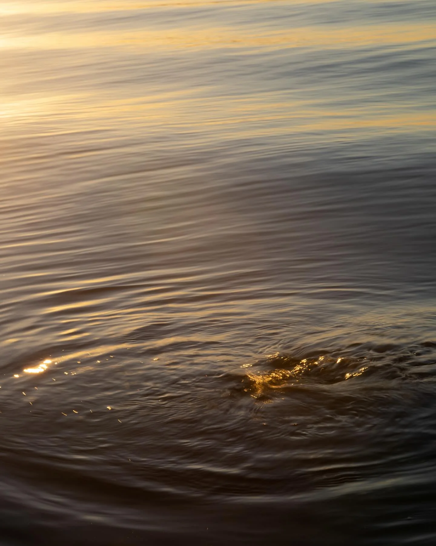 ㅤnuit et jour ㅤ☯︎

s&eacute;rie en cours &mdash;&mdash;-