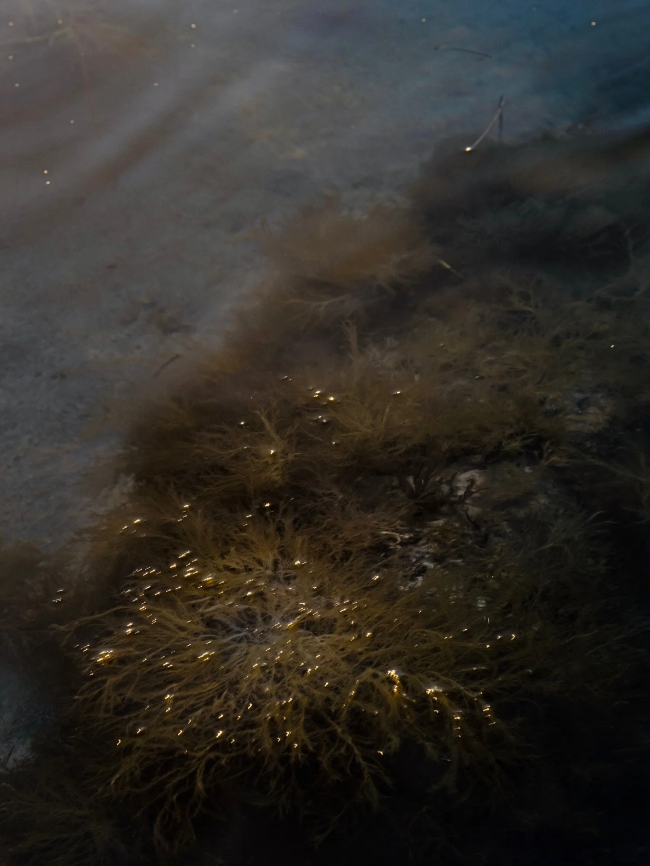 Premiers &eacute;clats du jour 
Dans l&rsquo;&eacute;toffe de la nuit 

&mdash;&mdash;&mdash;- s&eacute;rie N&eacute;e de la nuit