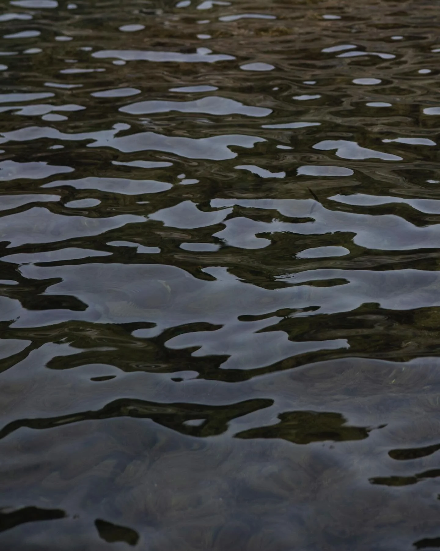 Regarder l&rsquo;eau me ram&egrave;ne &agrave; ma pr&eacute;sence. 
.
Mer Adriatique en Croatie, sa transparence, ses bleus intenses.
Ao&ucirc;t 2025