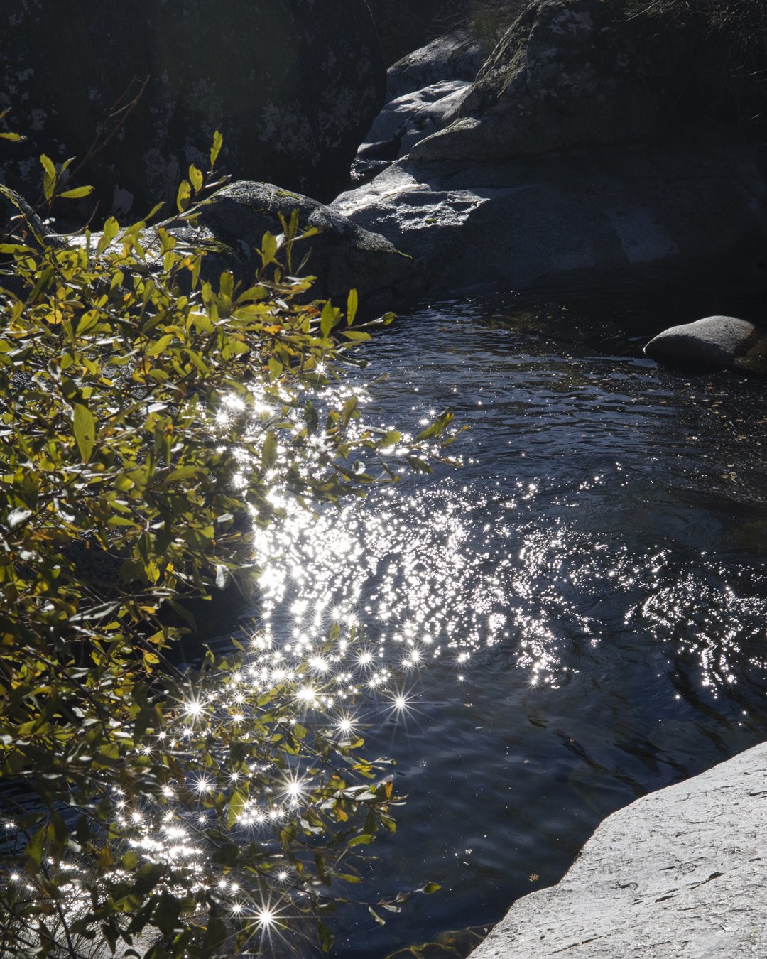 rivière et lumière