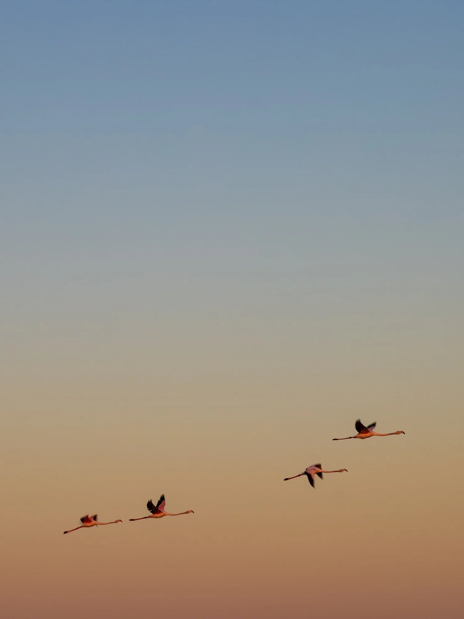 libre infini-nabdelwahed.jpg