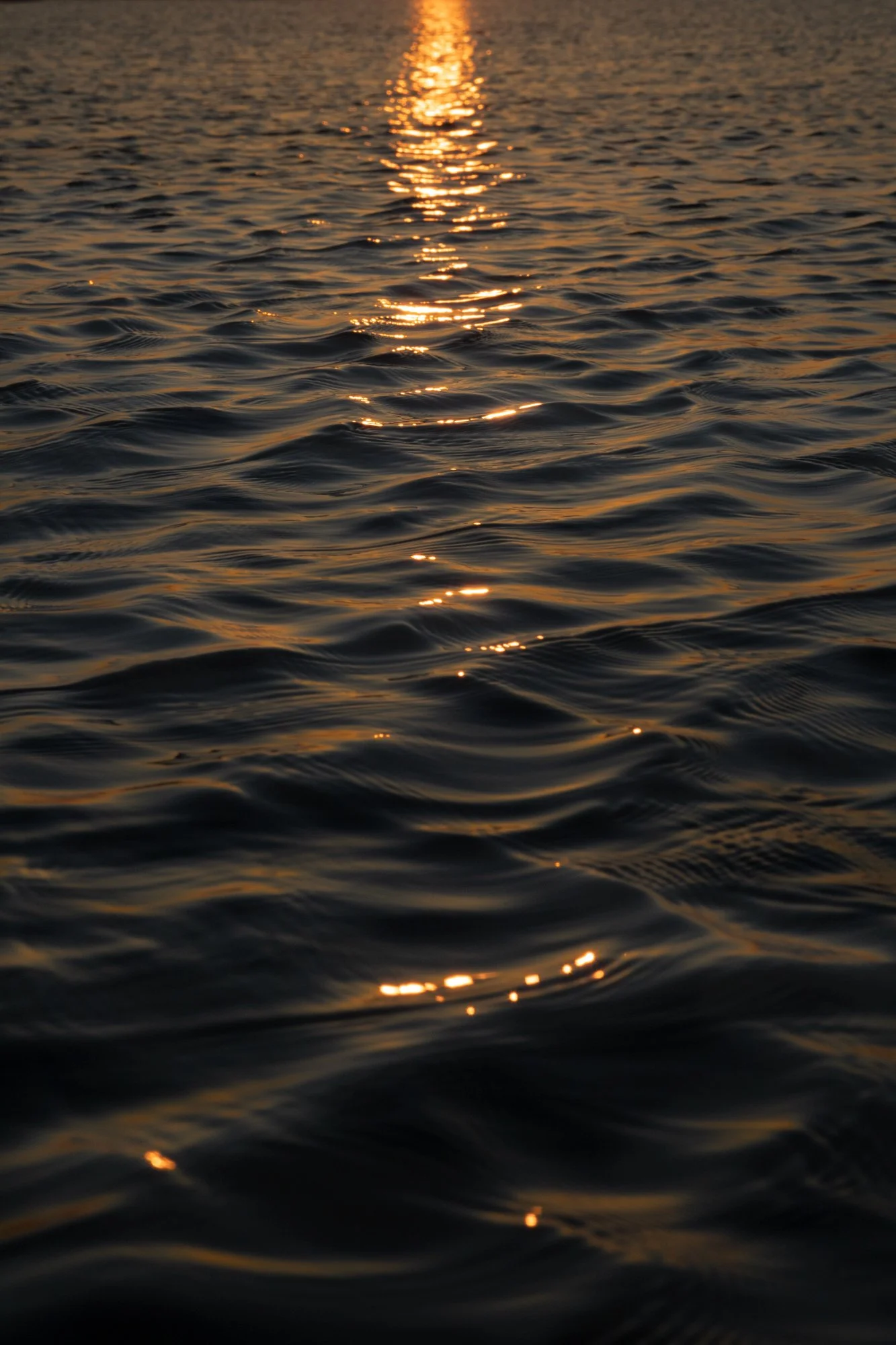 vogue lumiere-nabdelwahed.jpg