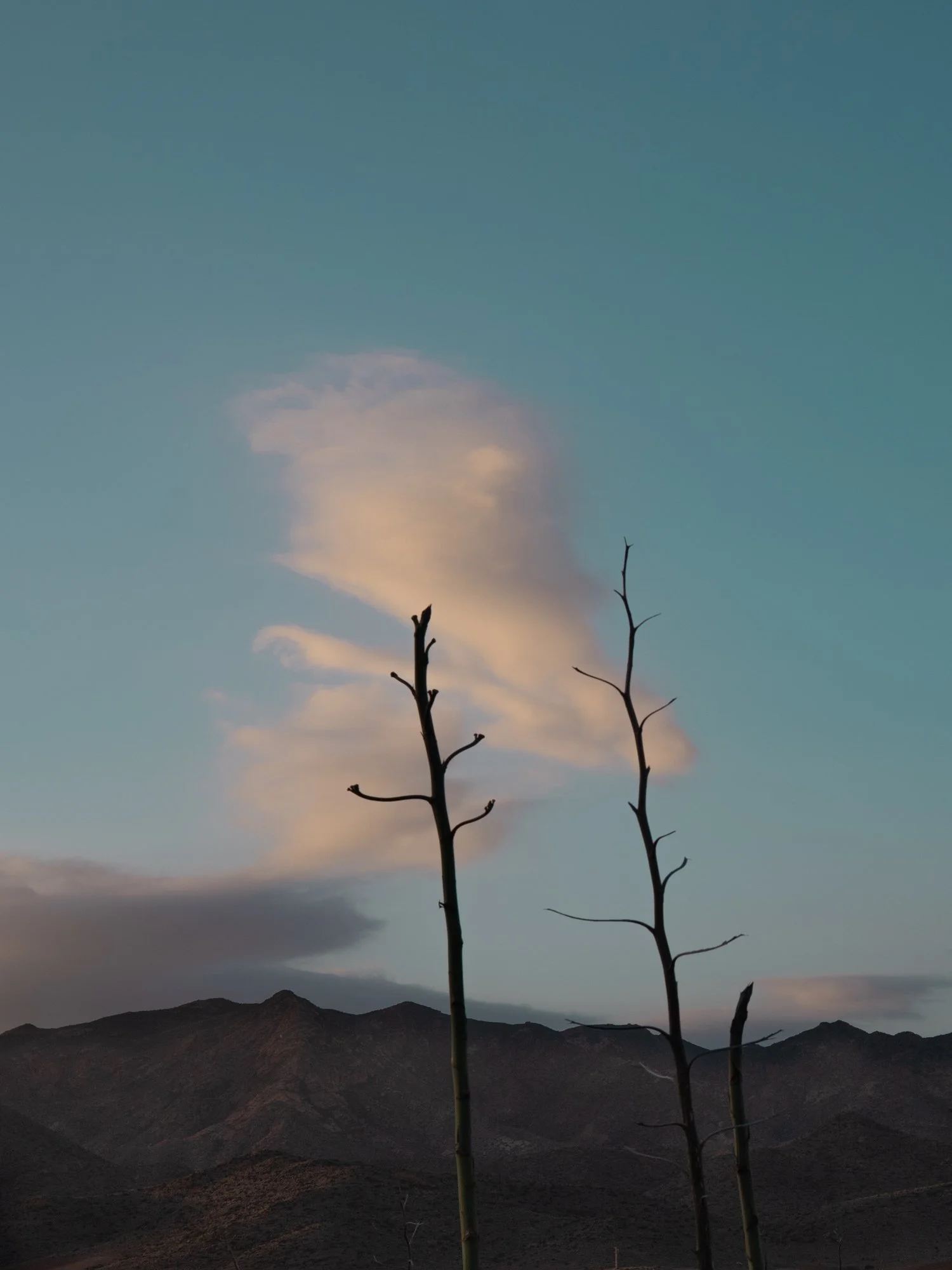 valse nuage-nabdelwahed.jpg