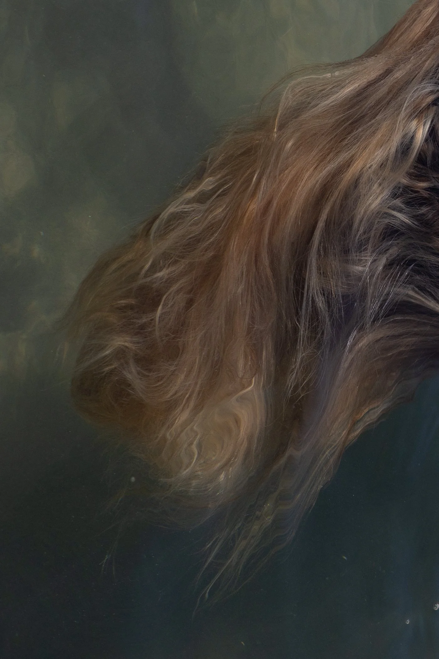 voie lactee_nadia abdelwahed.jpg