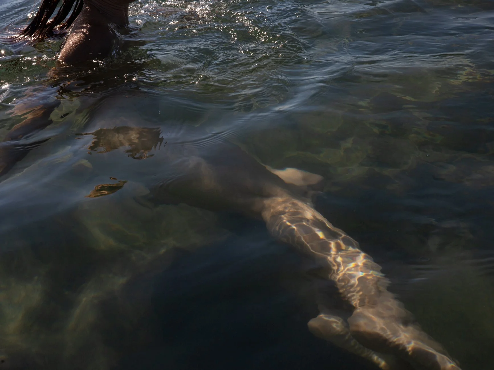  De peau et d'eau      2025   2/13