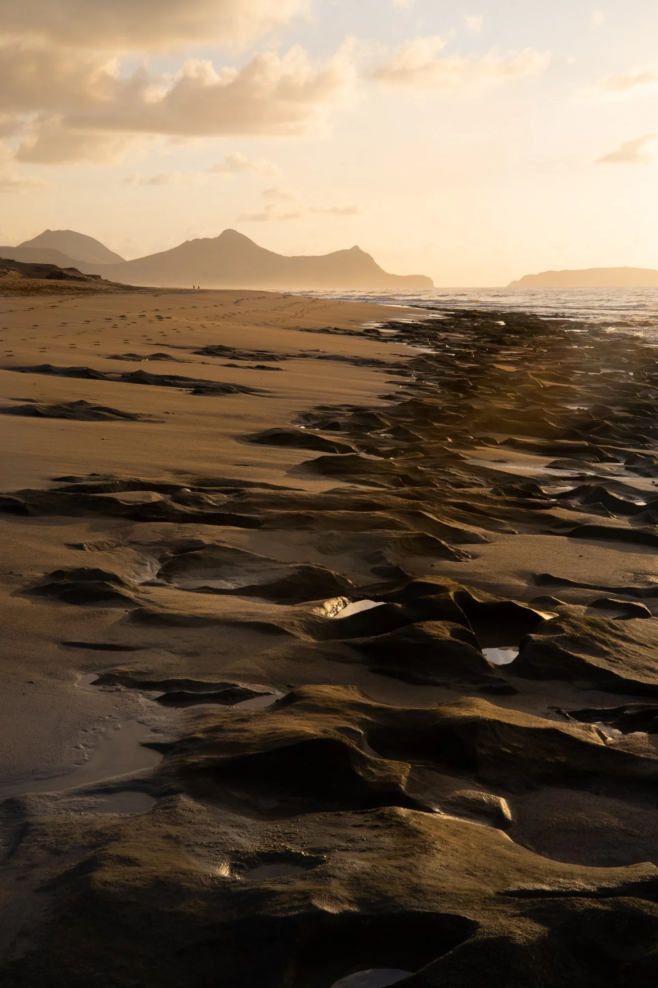 rose des sables-nabdelwahed.jpg