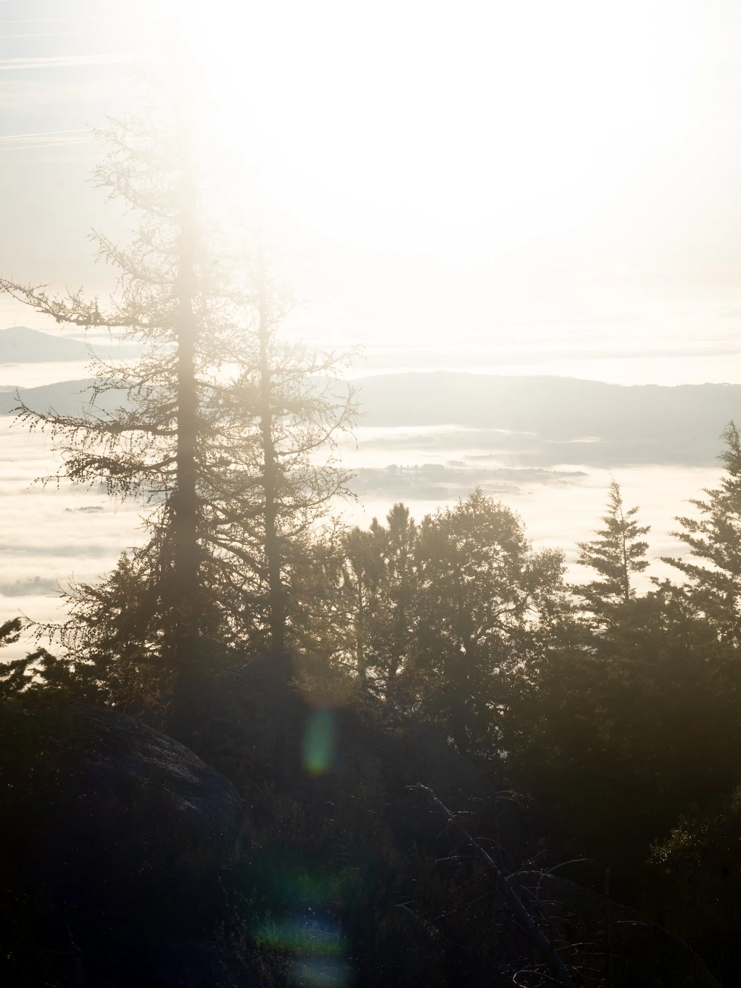 aube blanche-nabdelwahed.jpg