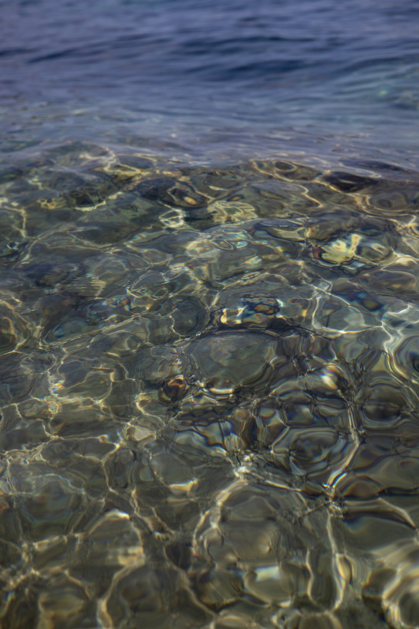  De peau et d'eau      2025   9/13