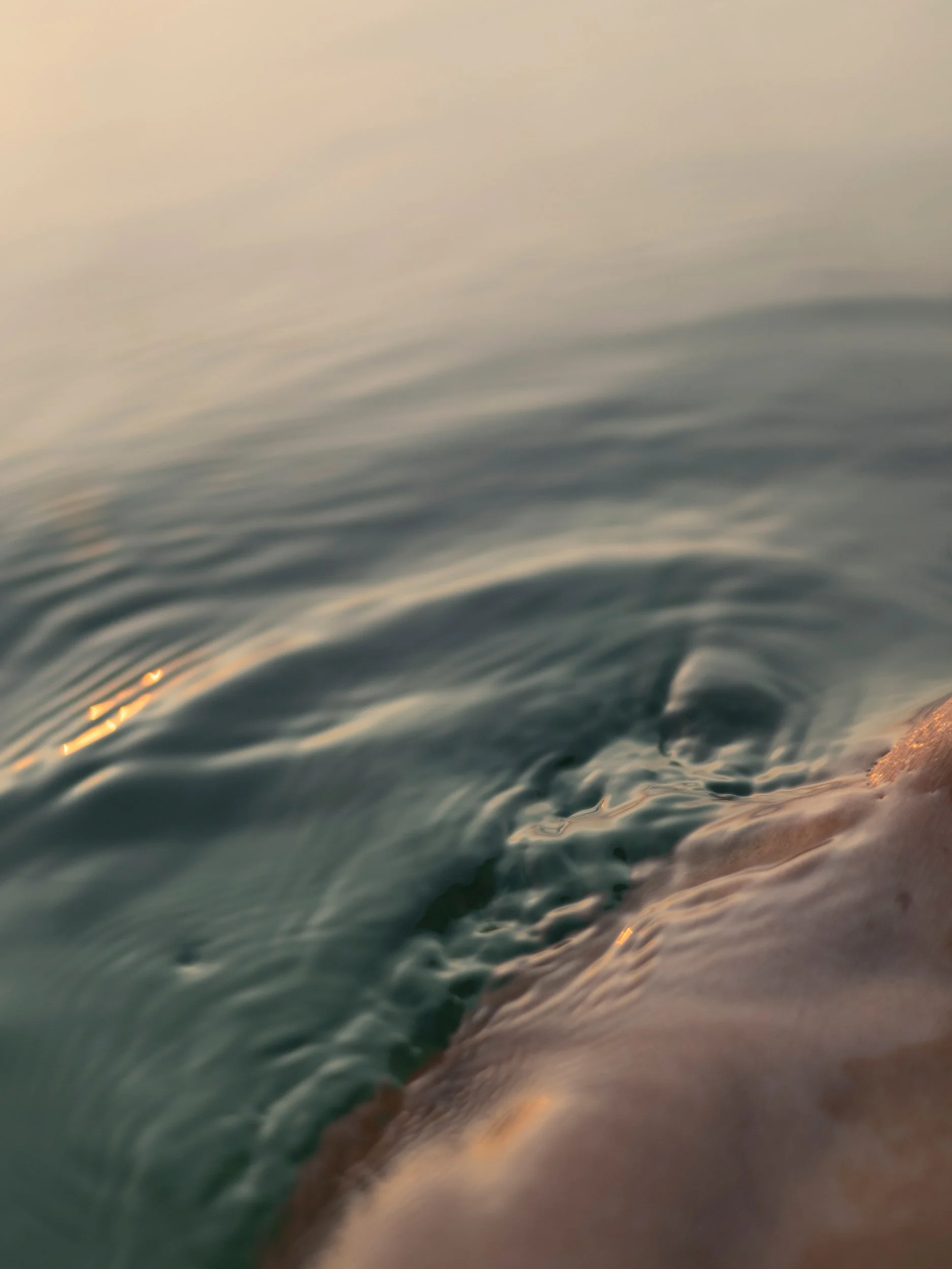  De peau et d'eau      2025   1/13