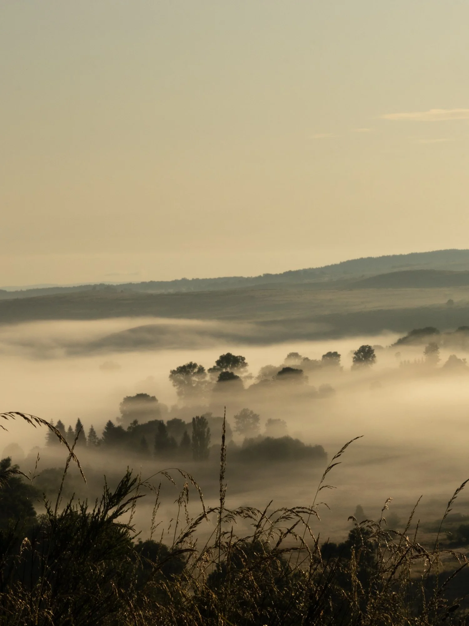 lande eternelle-nabdelwahed.jpg