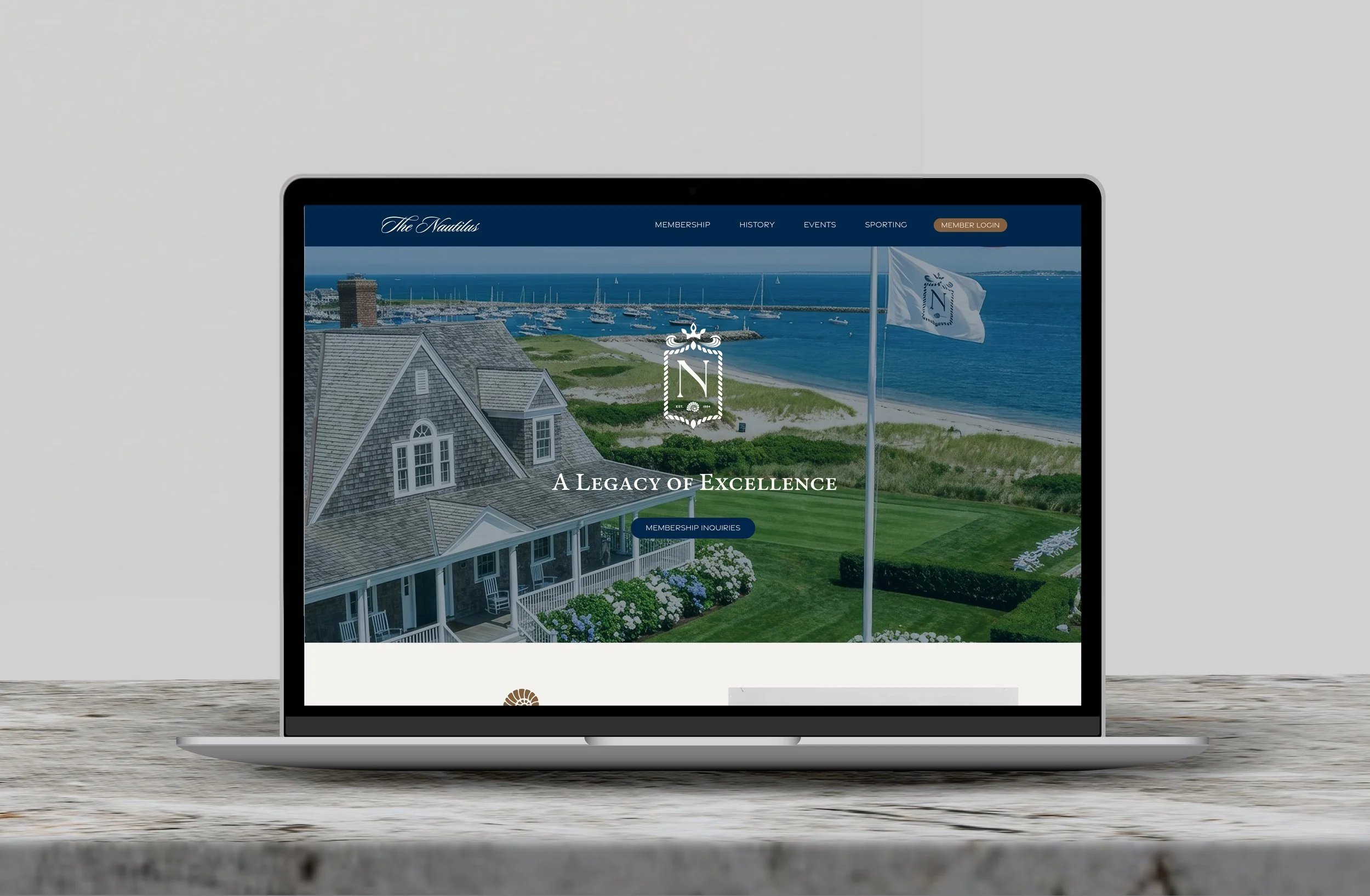 website1.jpg
