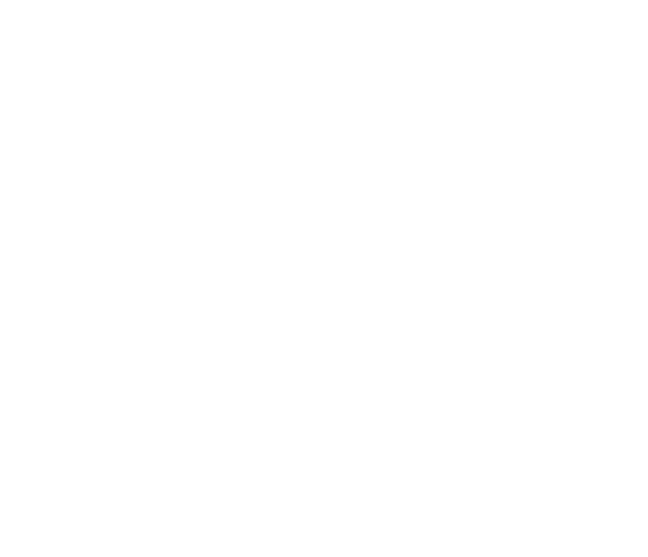 Blank white image