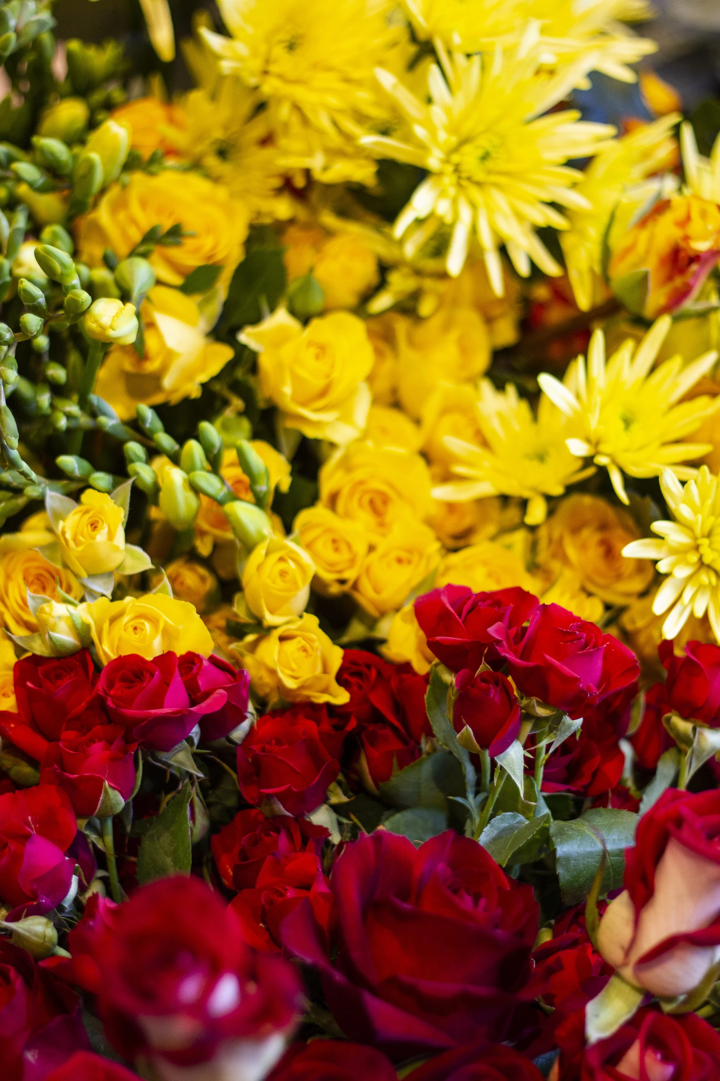 Close-up of a vibrant floral arrangement with red, yellow, and orange roses and yellow chrysanthemums.