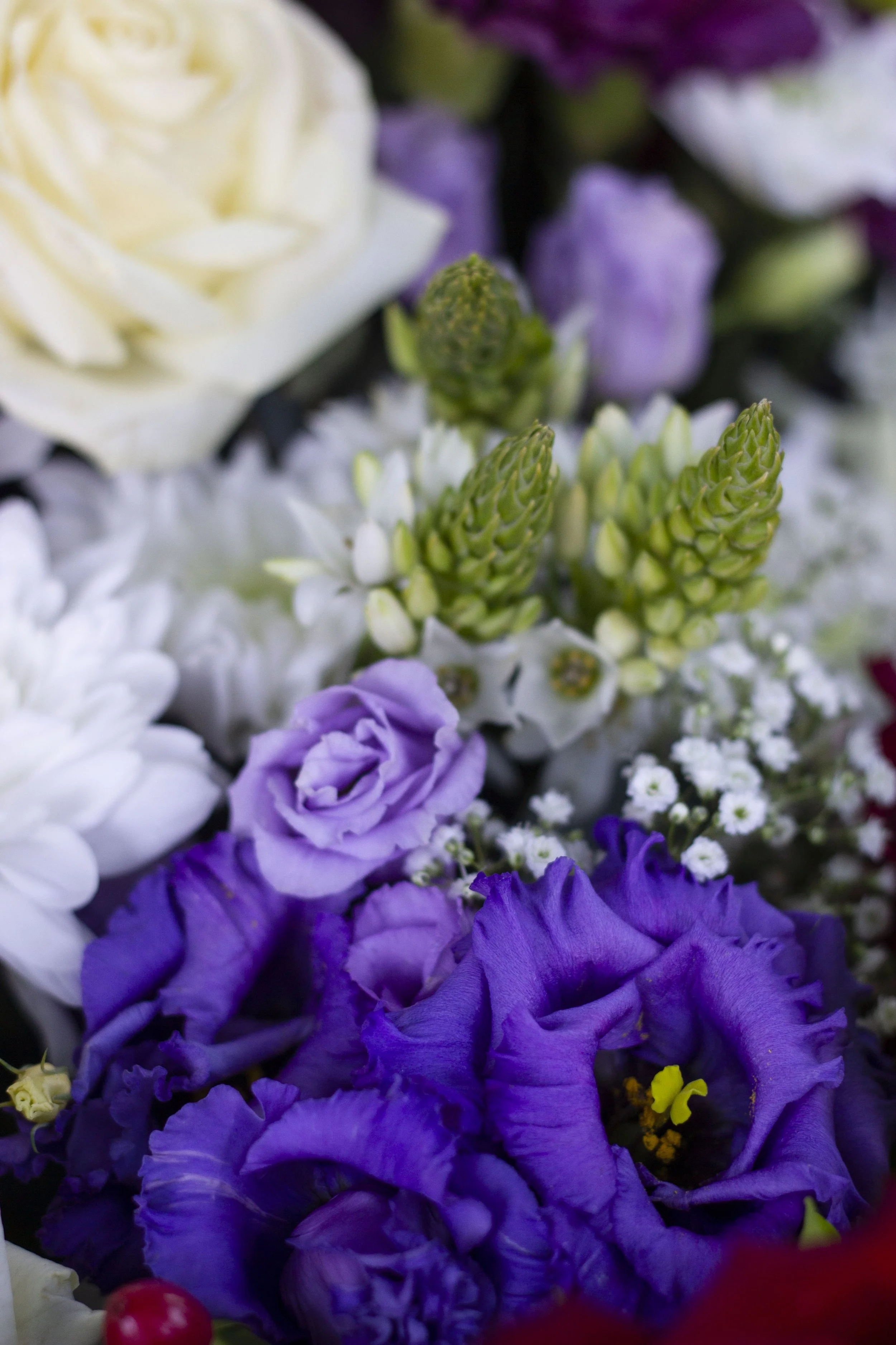 A close-up of various colorful flowers, including purple, white, and cream roses, and other small flowers.