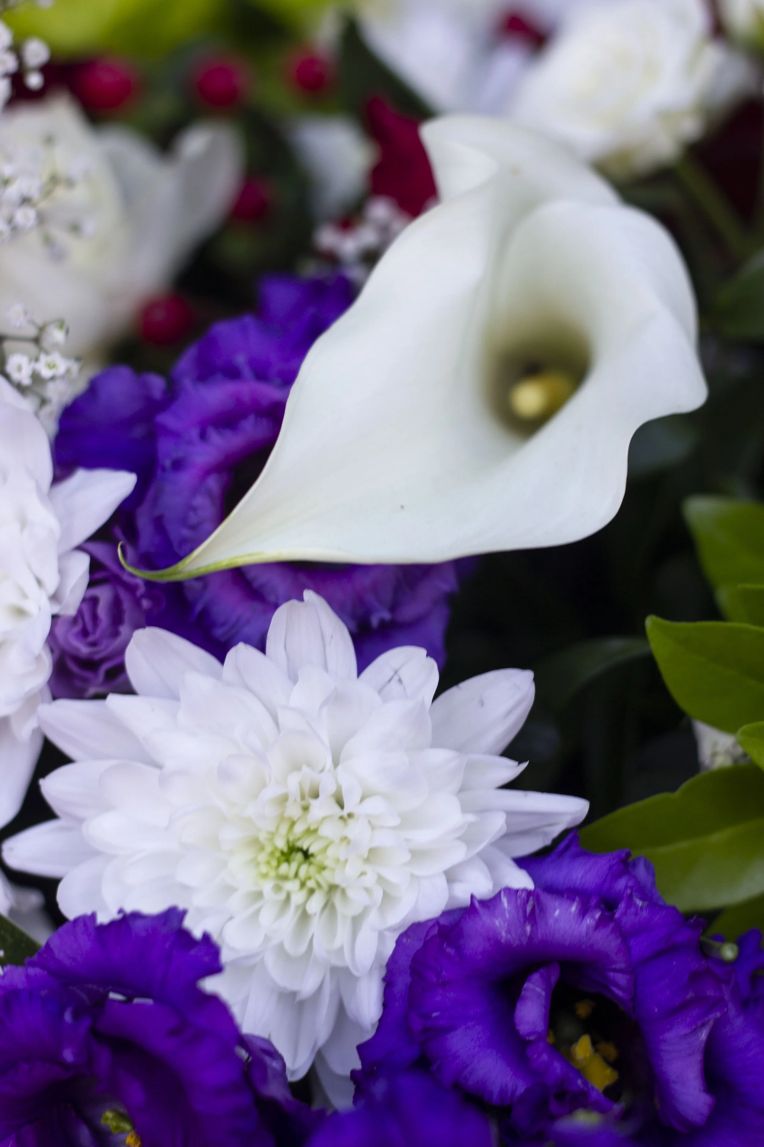 A close-up of a variety of colorful flowers including a white calla lily, white chrysanthemum, and purple lisianthus among green leaves.
