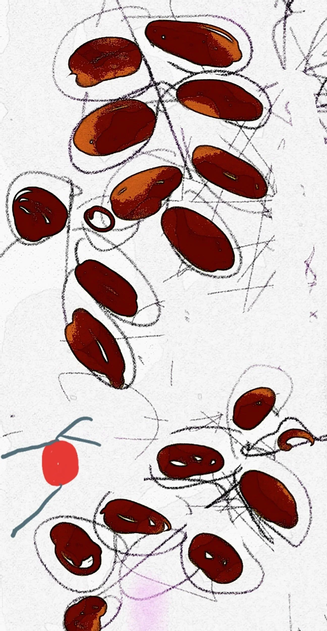 mulberry+leaves.jpg