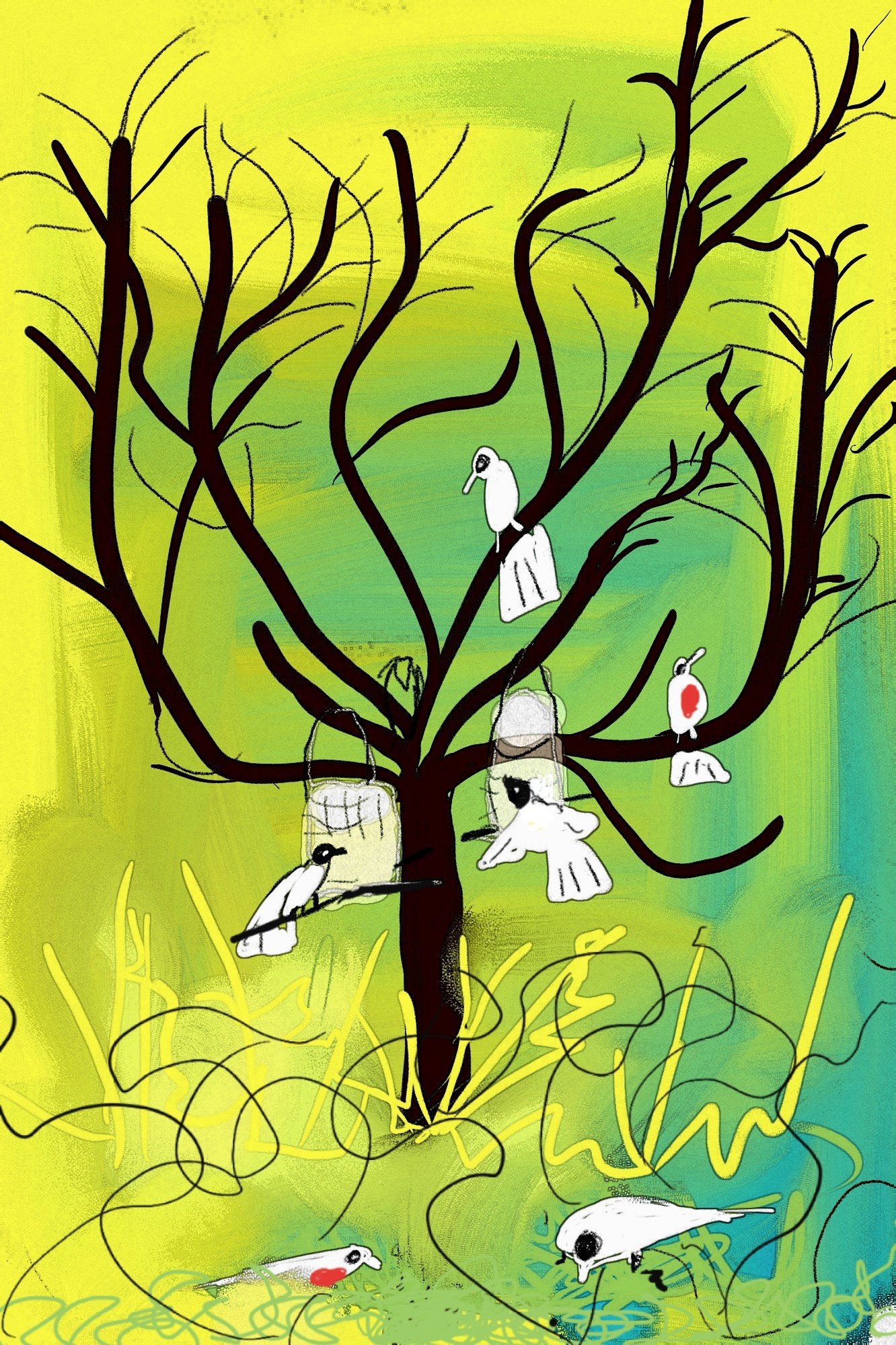 Bird Feeder