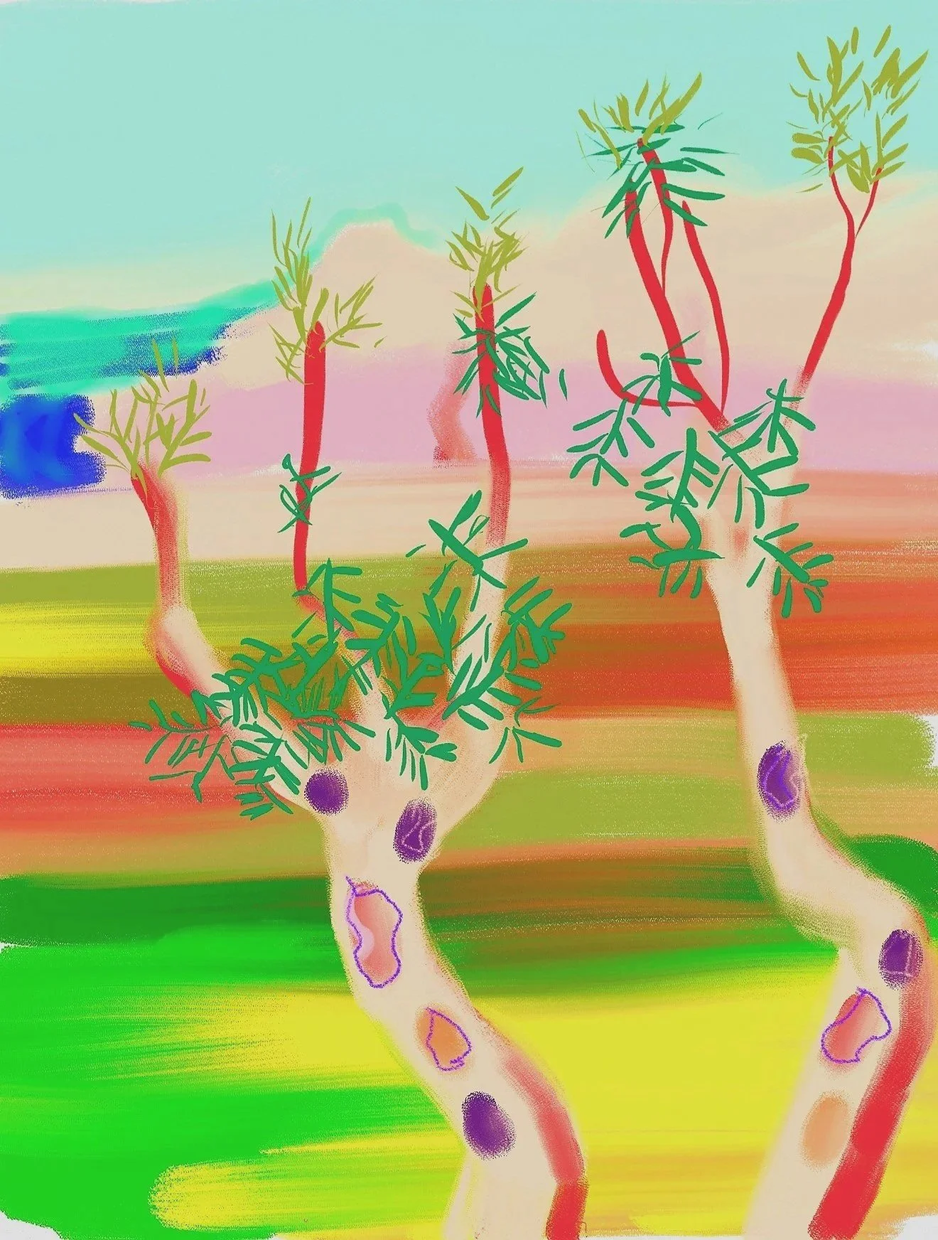 Eucalyptus Tree  Giclee print