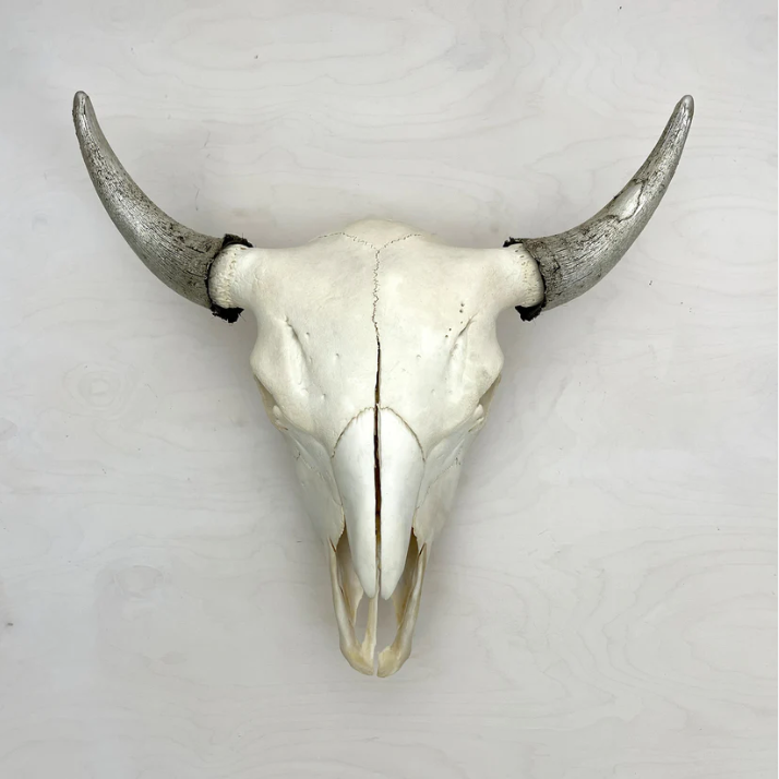 Bison skull. Natural and silver..png