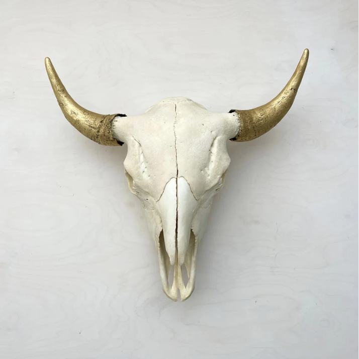 Bison Skull. Natural and gold..png