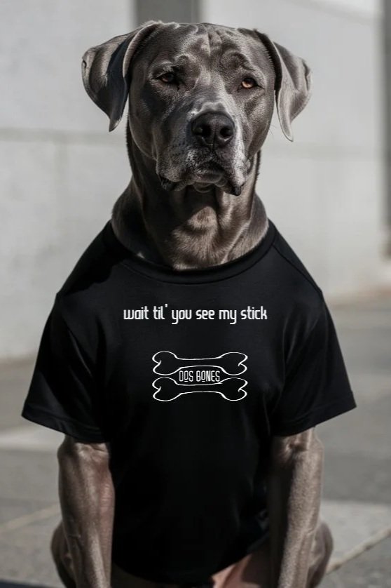 wait til' you see my stick