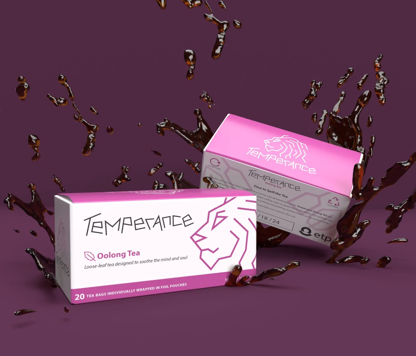NevaehOhlund_Package_Prototype.jpg