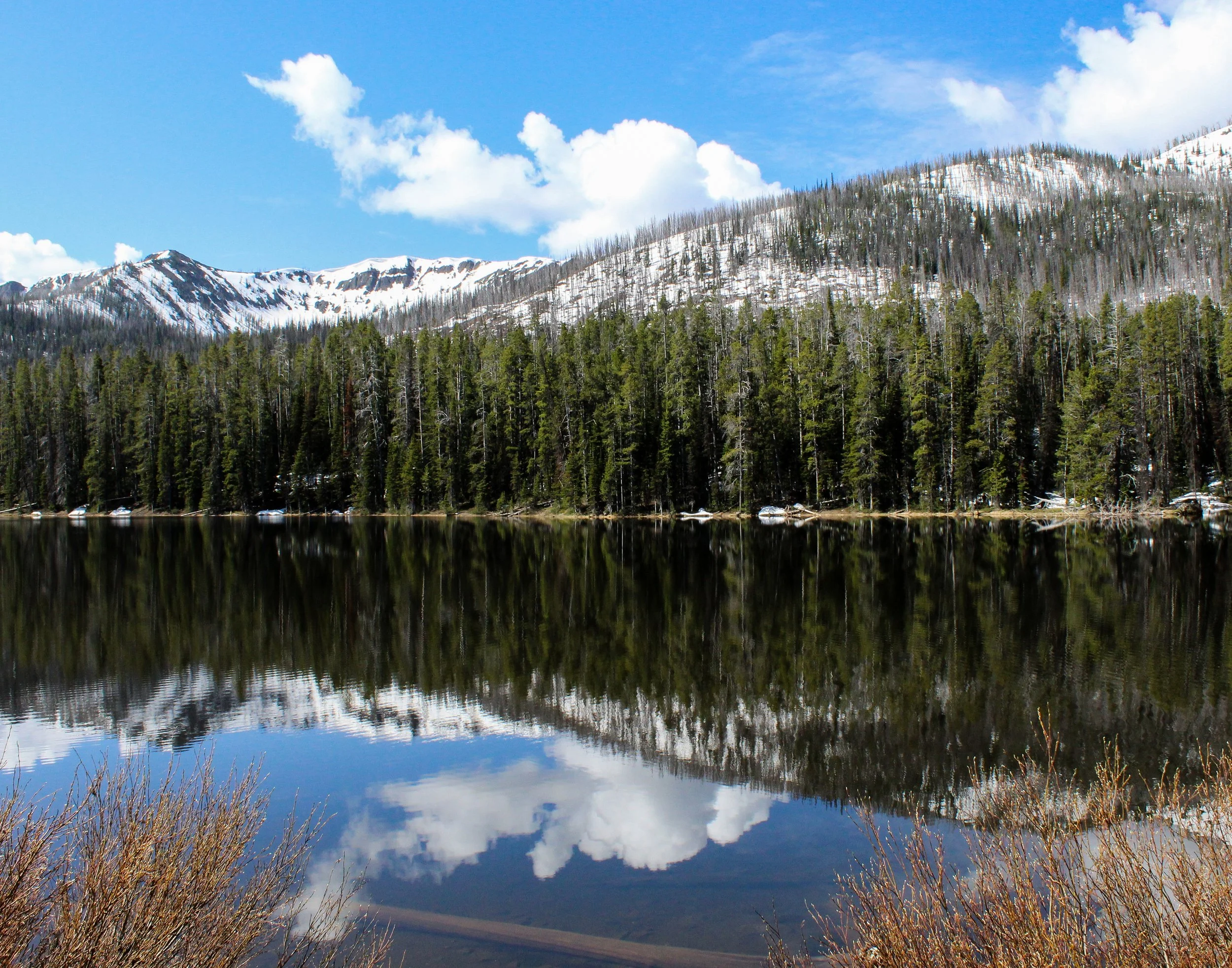 0001-nevaeh-reflection8x10.jpg