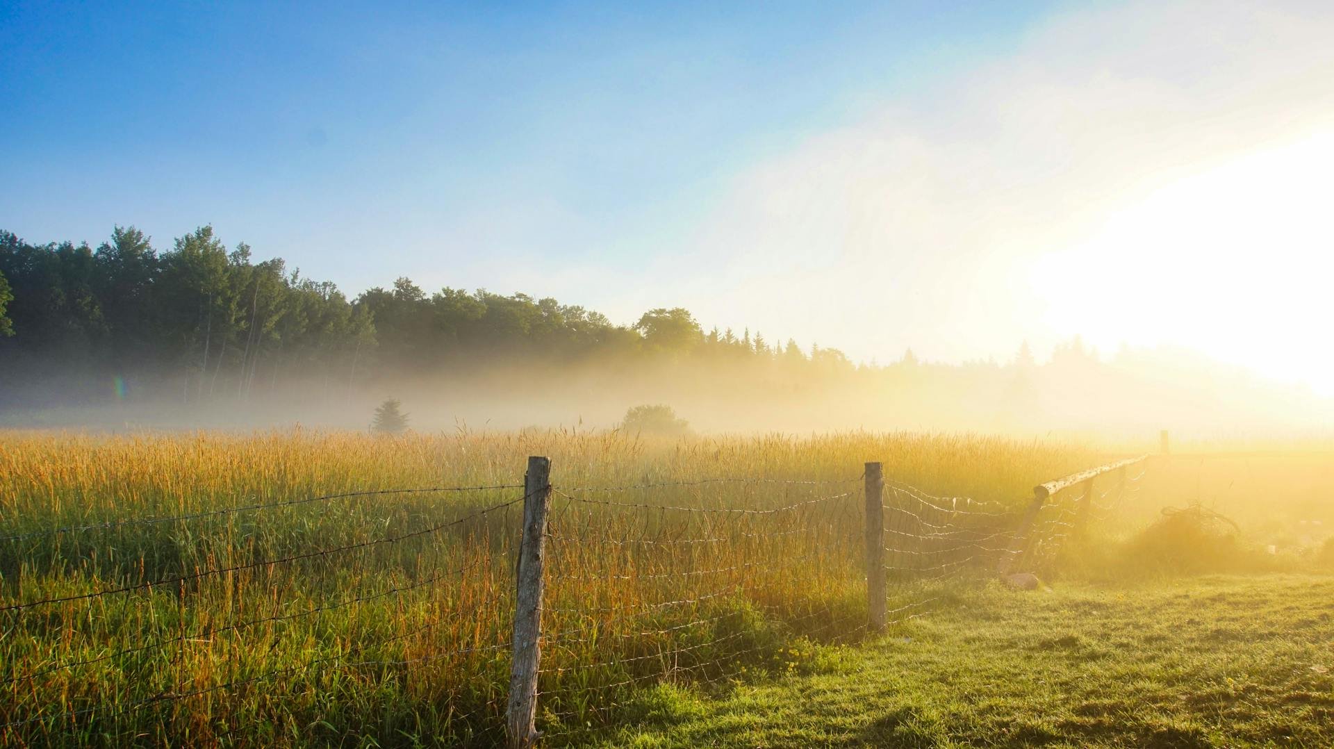 Boundaries – Part 1