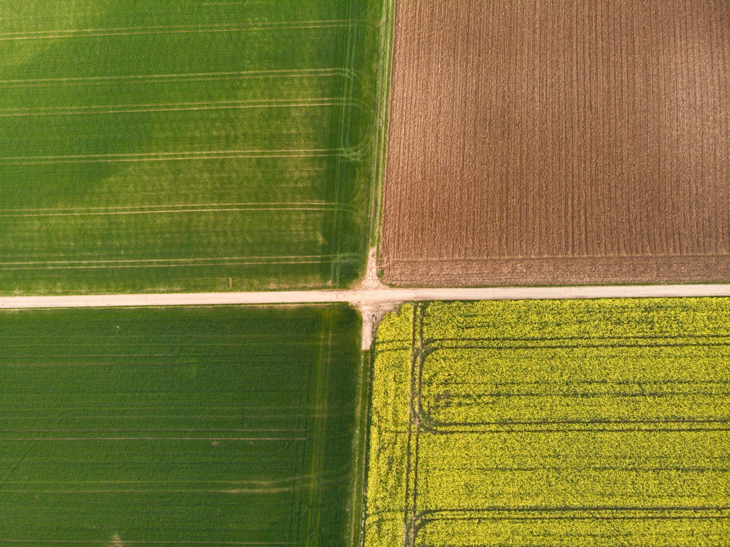 Boundaries – Part 2