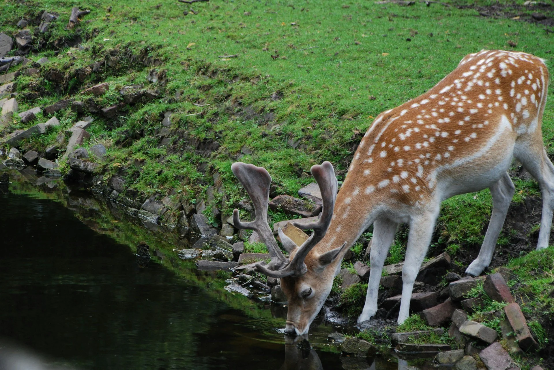 Sacred Pause: Discovering True Rest