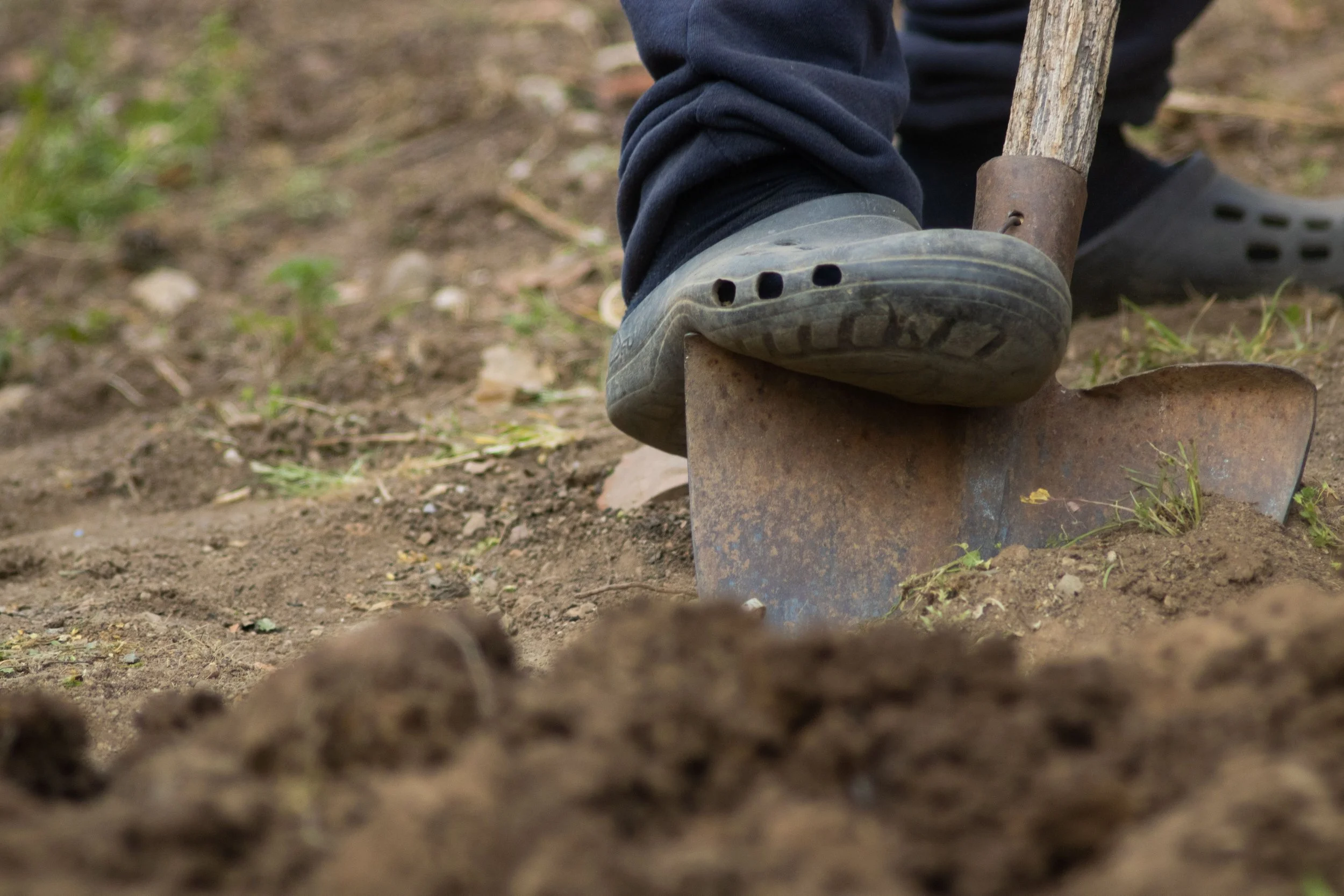 Digging Our Own Wells