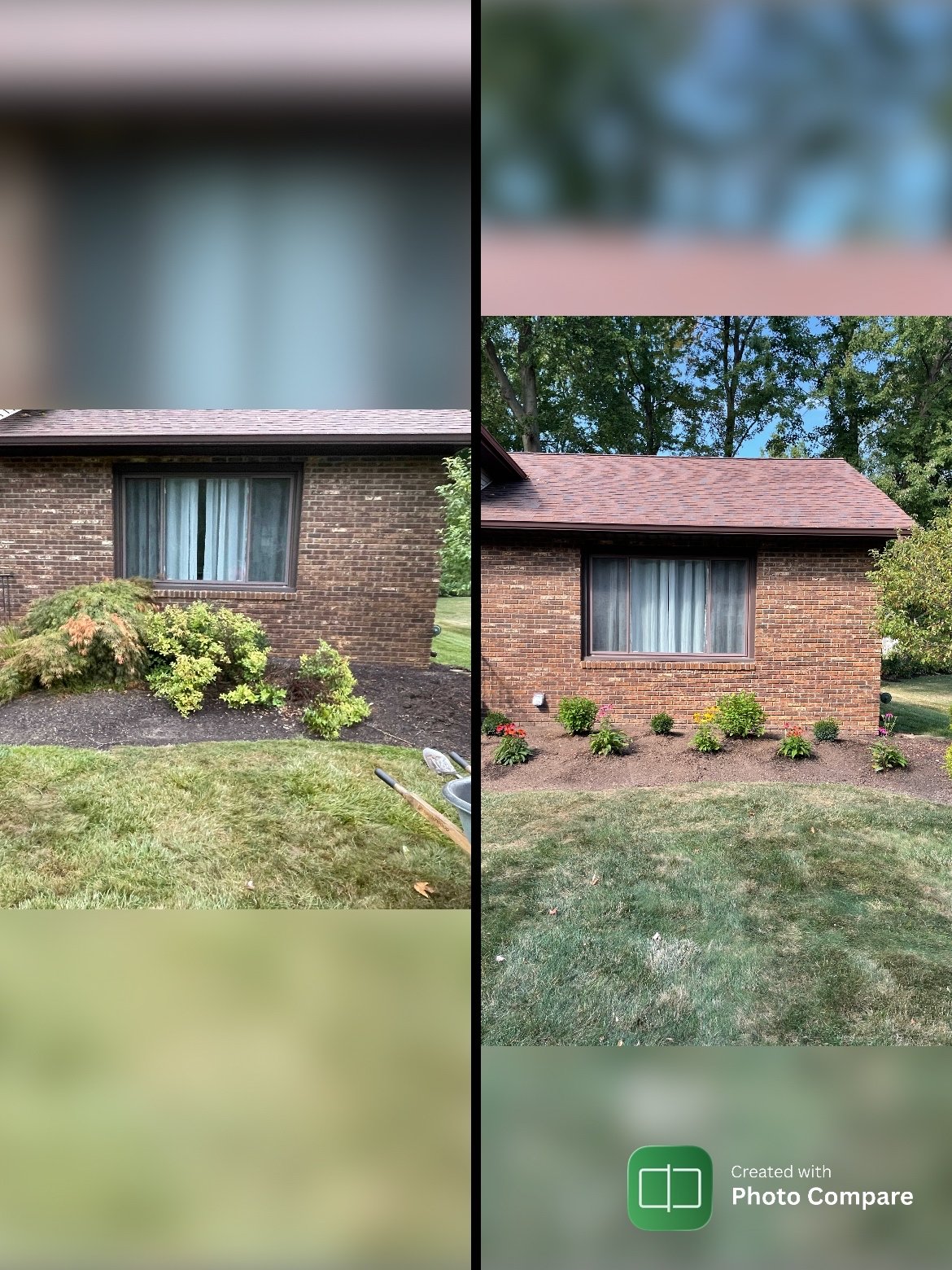 Comparison of a house front yard before and after gardening. The left side shows a house with overgrown bushes and a patch of bare soil, while the right side shows the same house with neatly trimmed bushes and a landscaped garden bed.