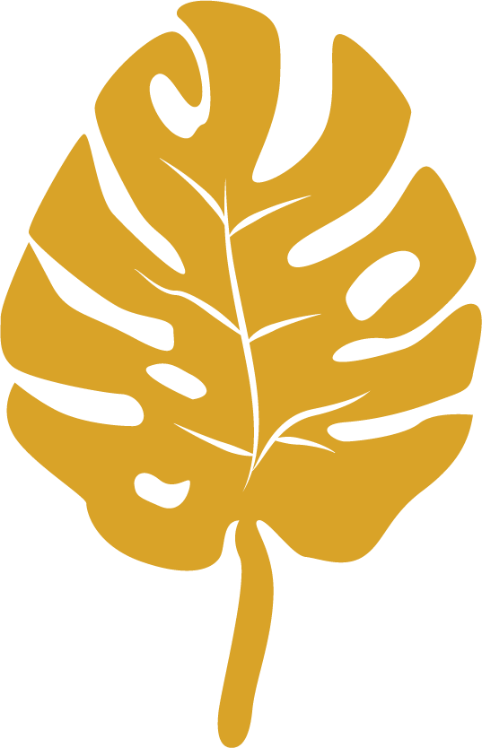 Yellow monstera leaf illustration