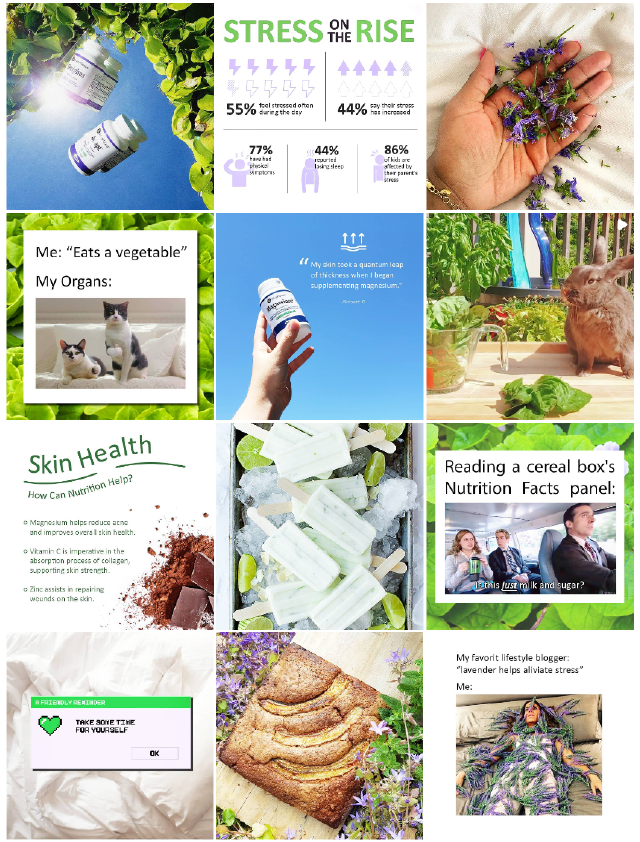 Collage of health-related images including stress statistics, supplements, cats with text about nutrition, skin health benefits, popsicles, cereal box meme, reminder to take time for oneself, a loaf of bread, and a person covered in lavender flowers.