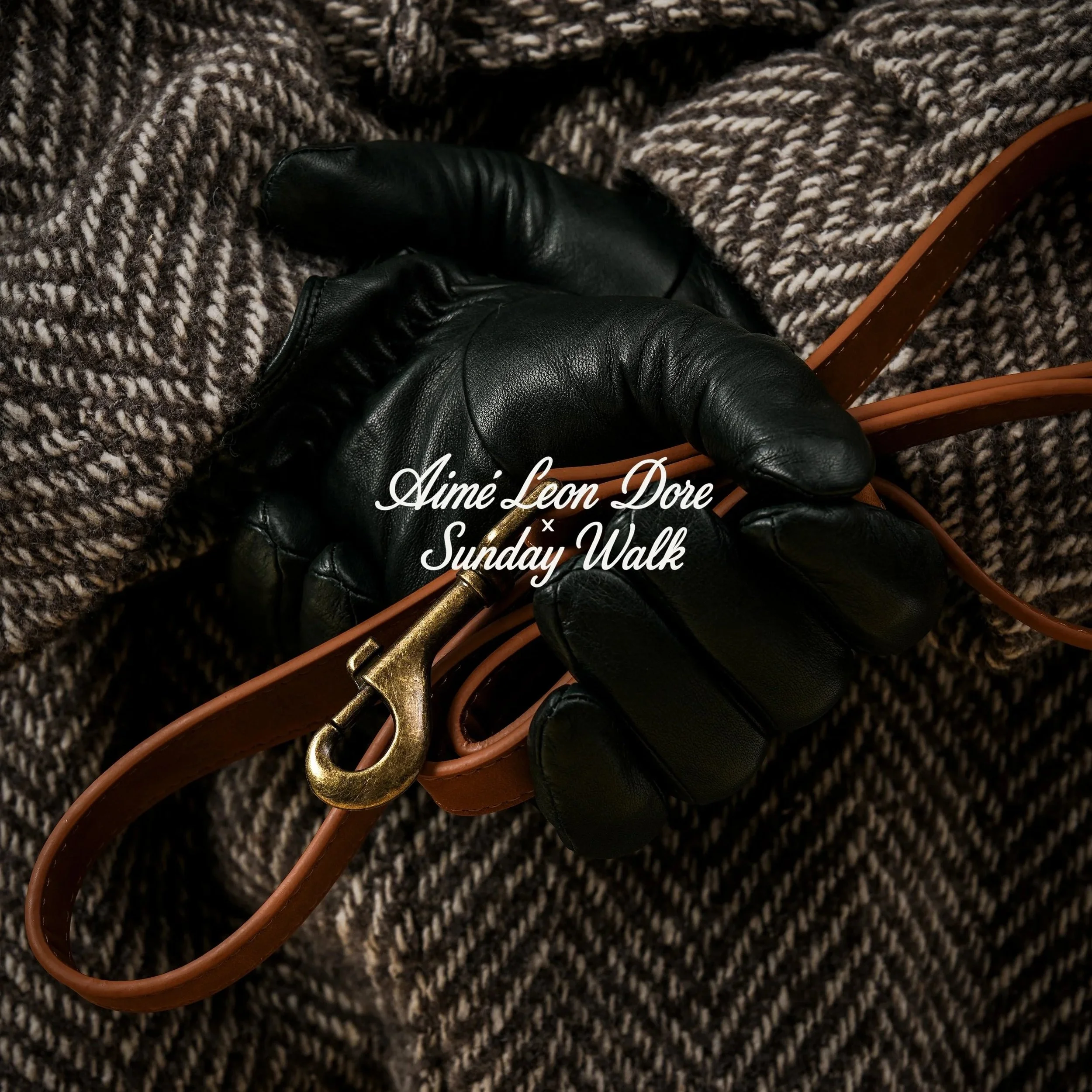 Aime Leon Dore x Sunday Walk (Spec Ad)