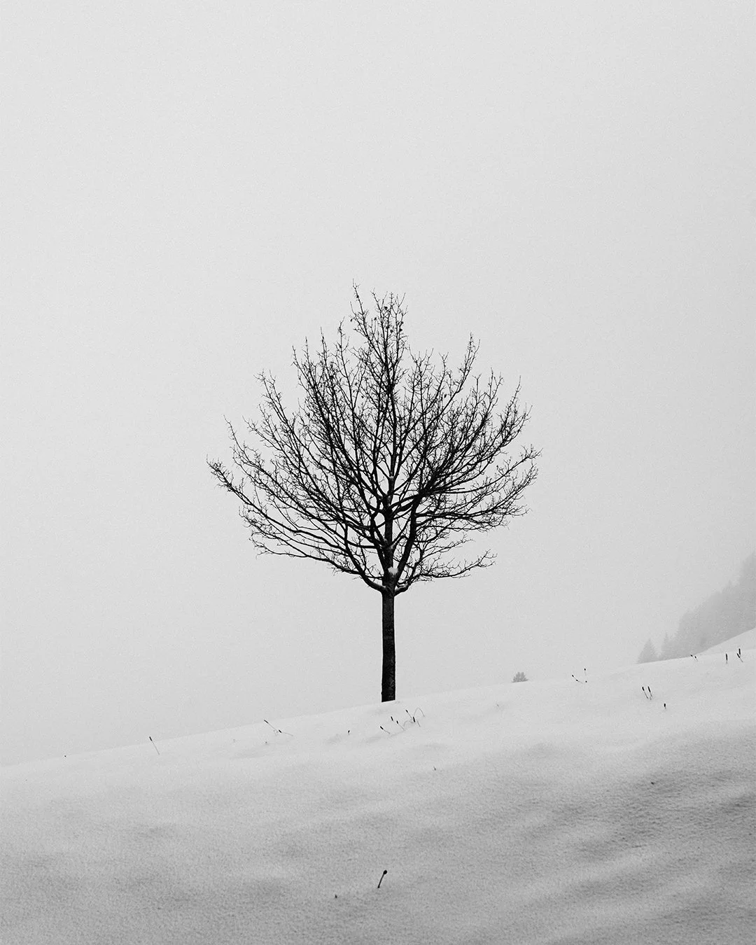 Lauterbrunnen, Suiza. Noviembre 24'.