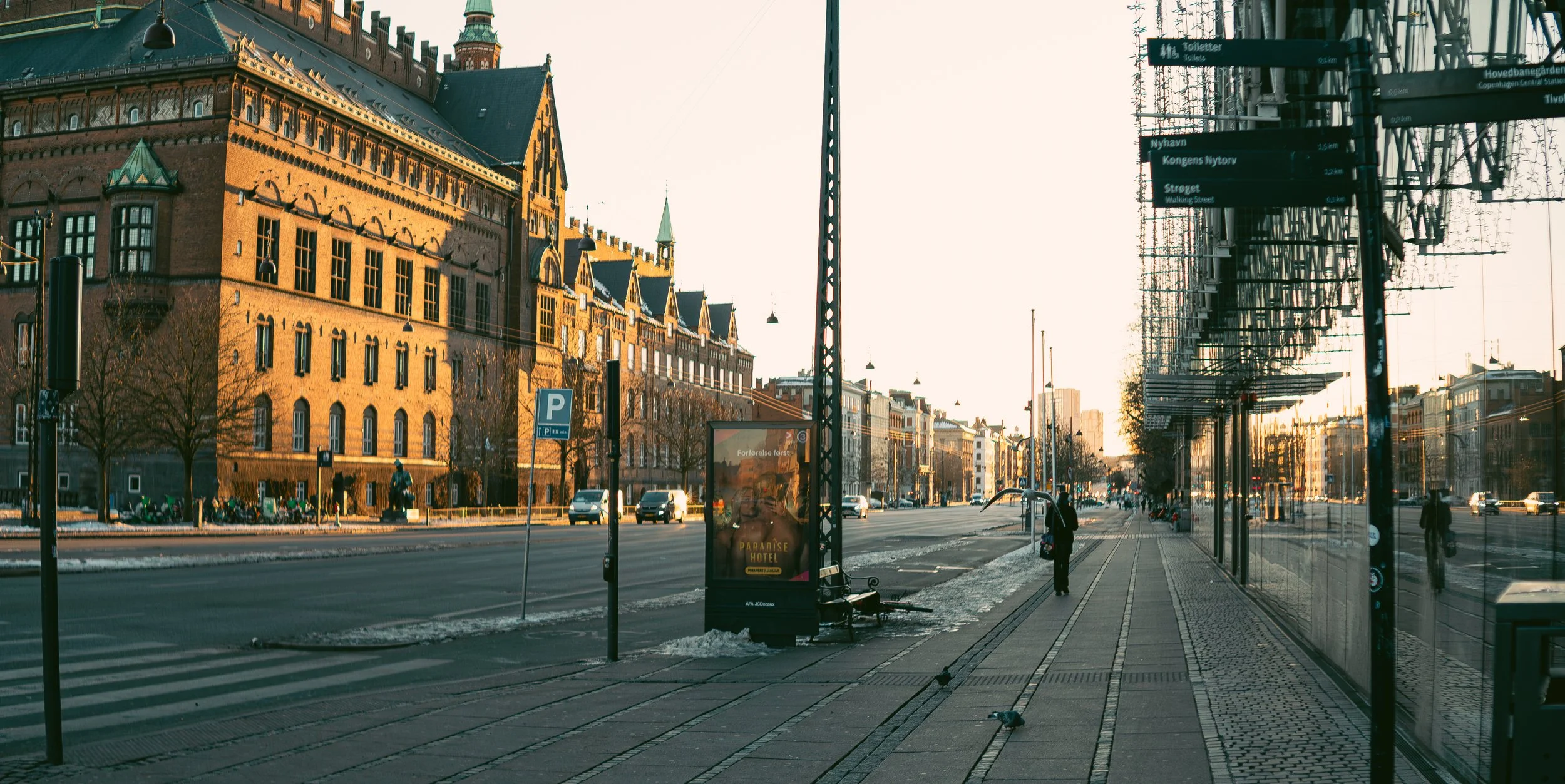 _DSC4974150126.JPG