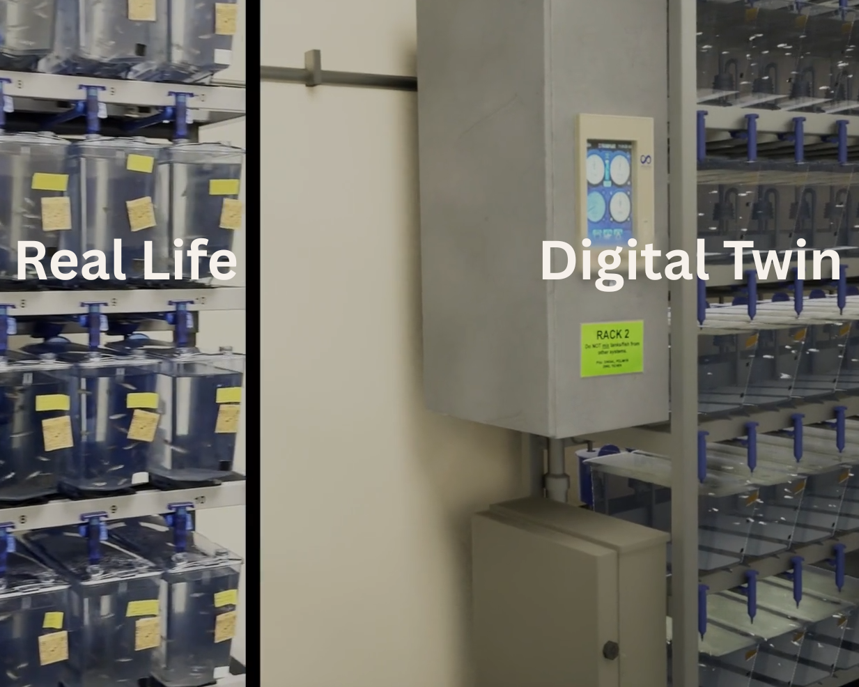 Vivarium: Cancer Research Simulation