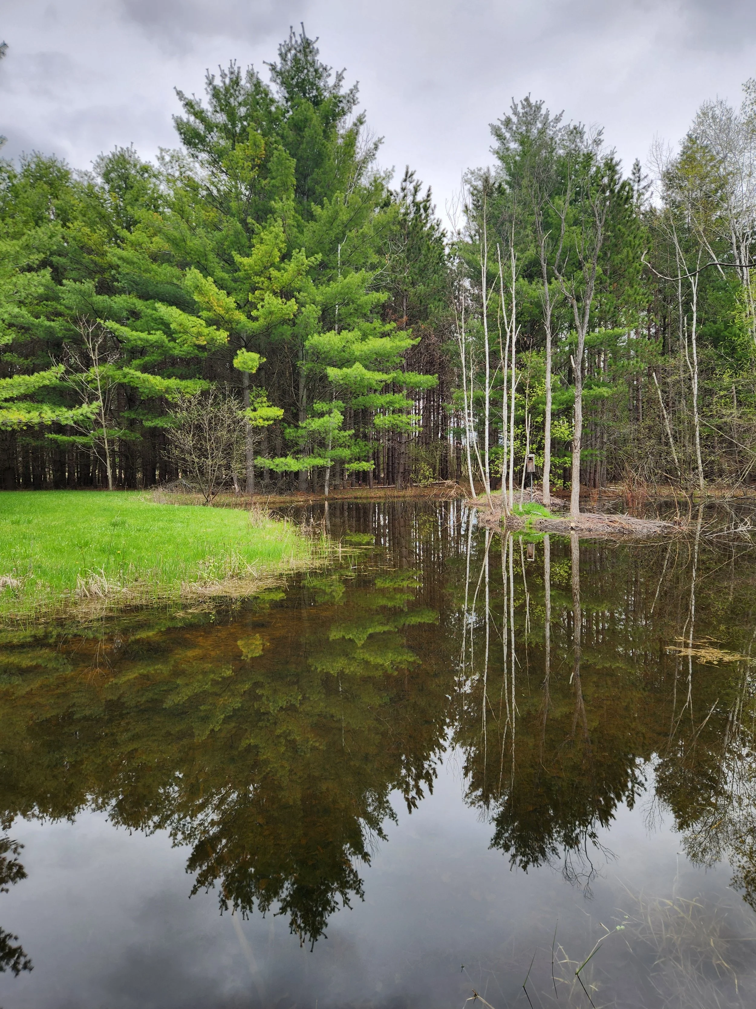 20260501_134338.jpg