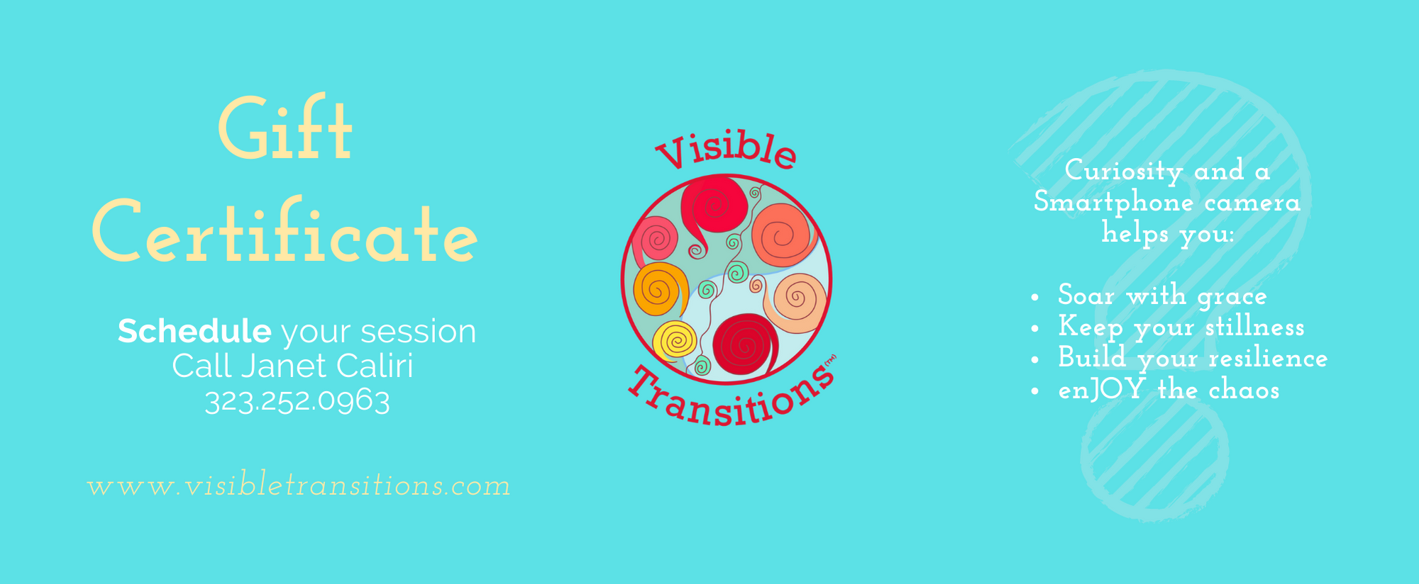 Visible Transitions Discovery Session