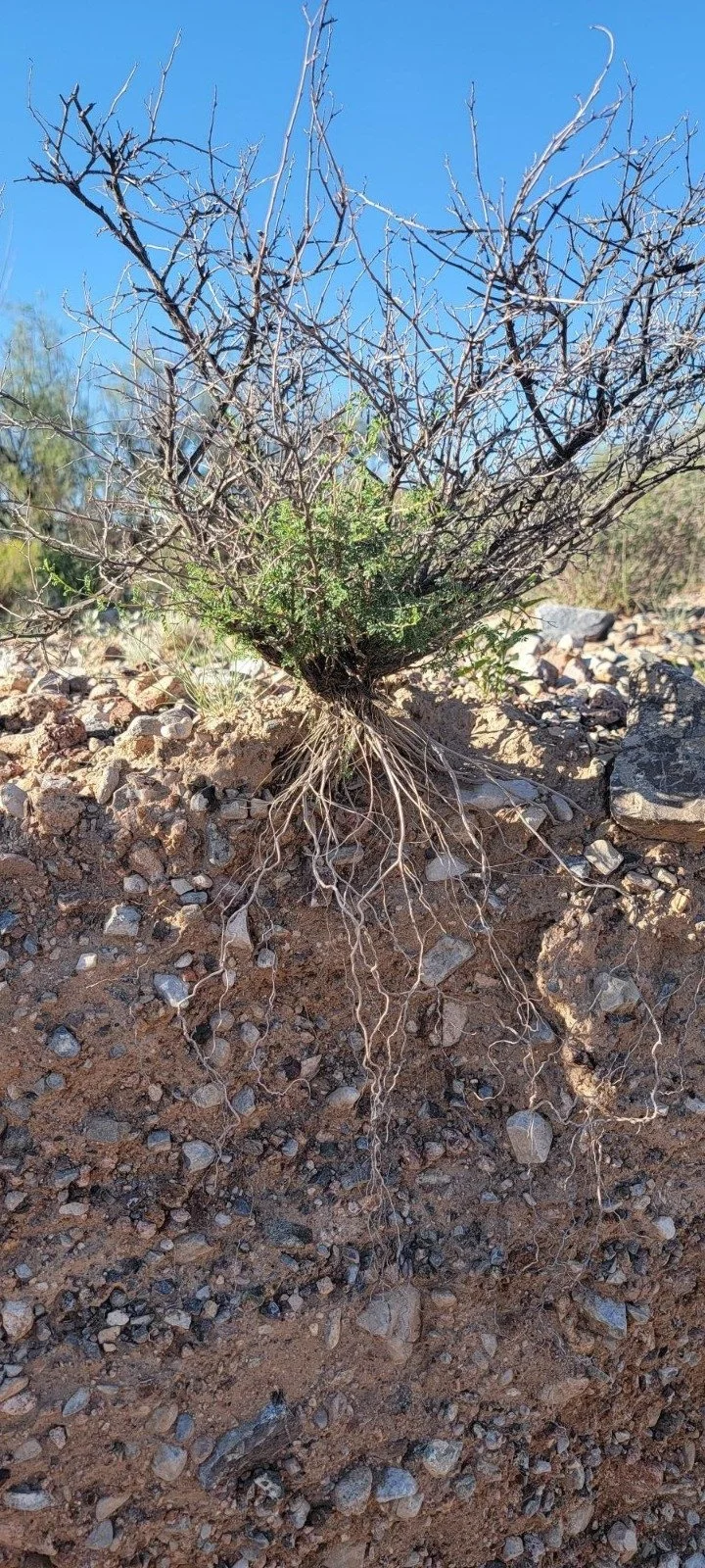 Hike with a Philosopher